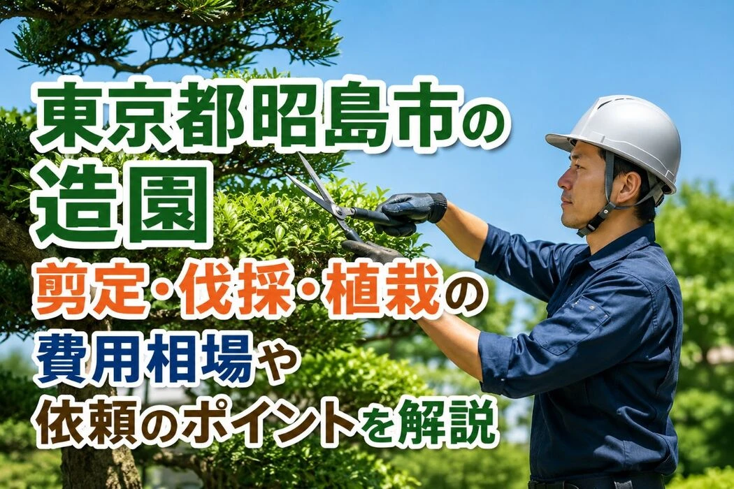 画像4138