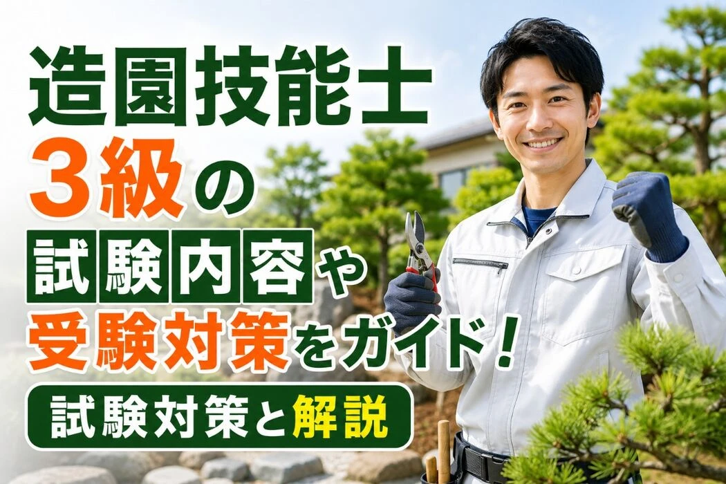 画像4162