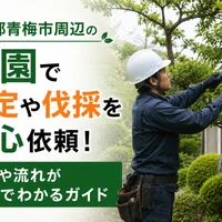 画像4242
