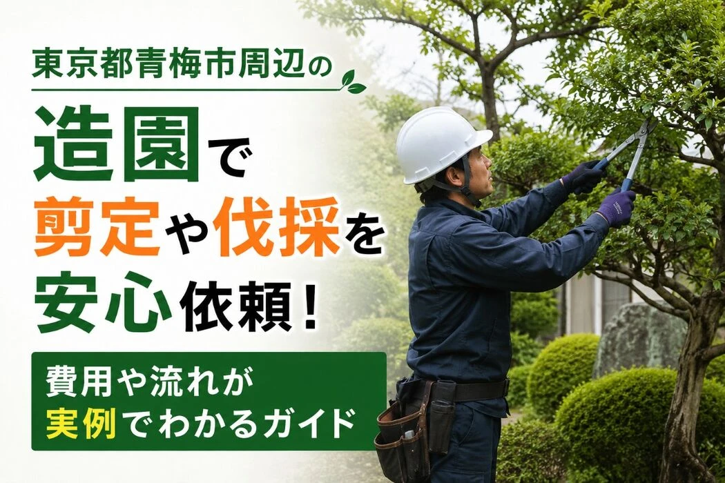 画像4242