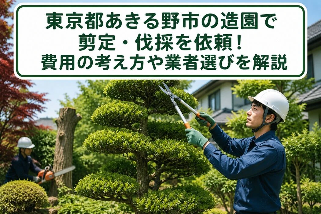 画像4268