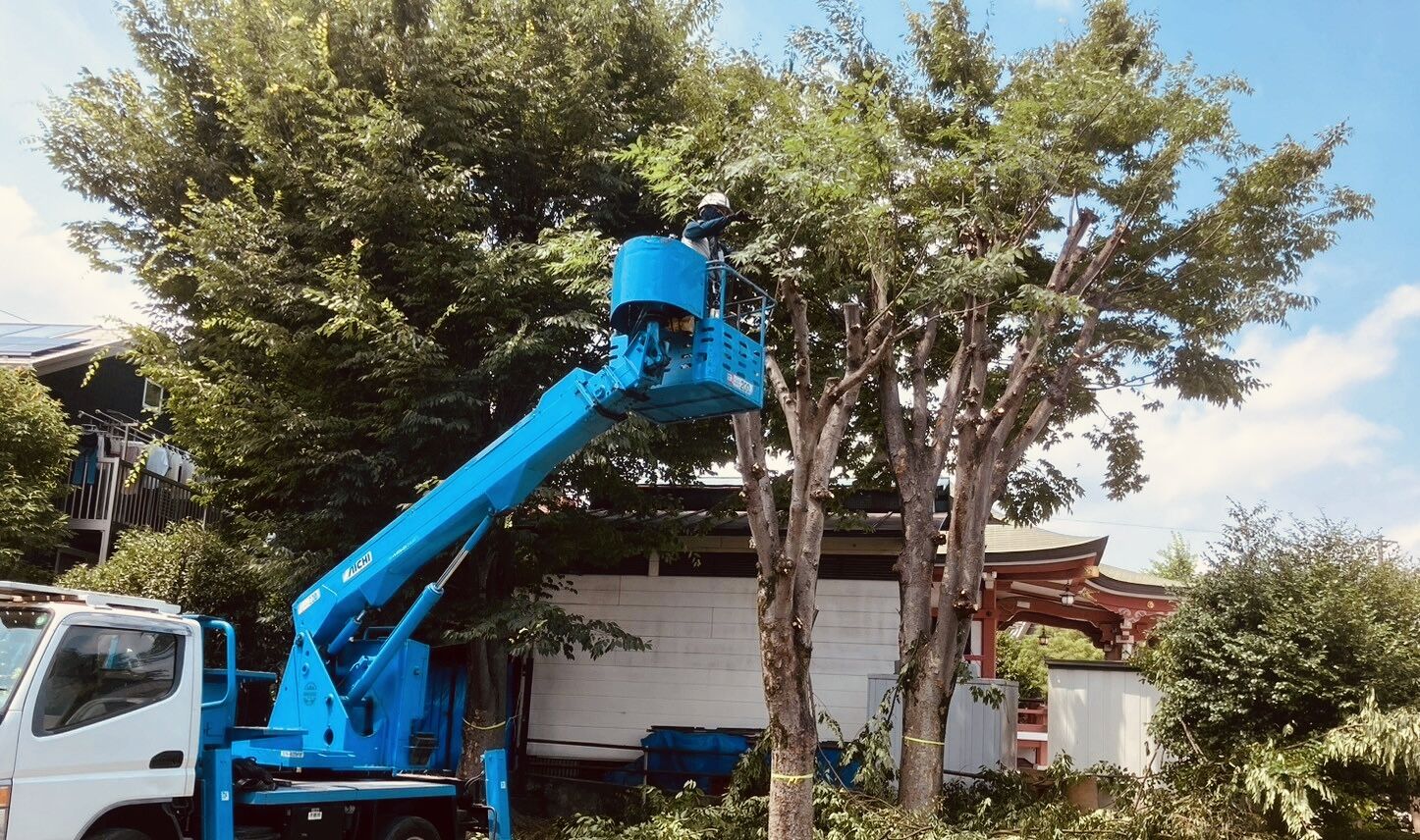 公園・道路　【あきる野市の造園会社　株式会社 川内谷】