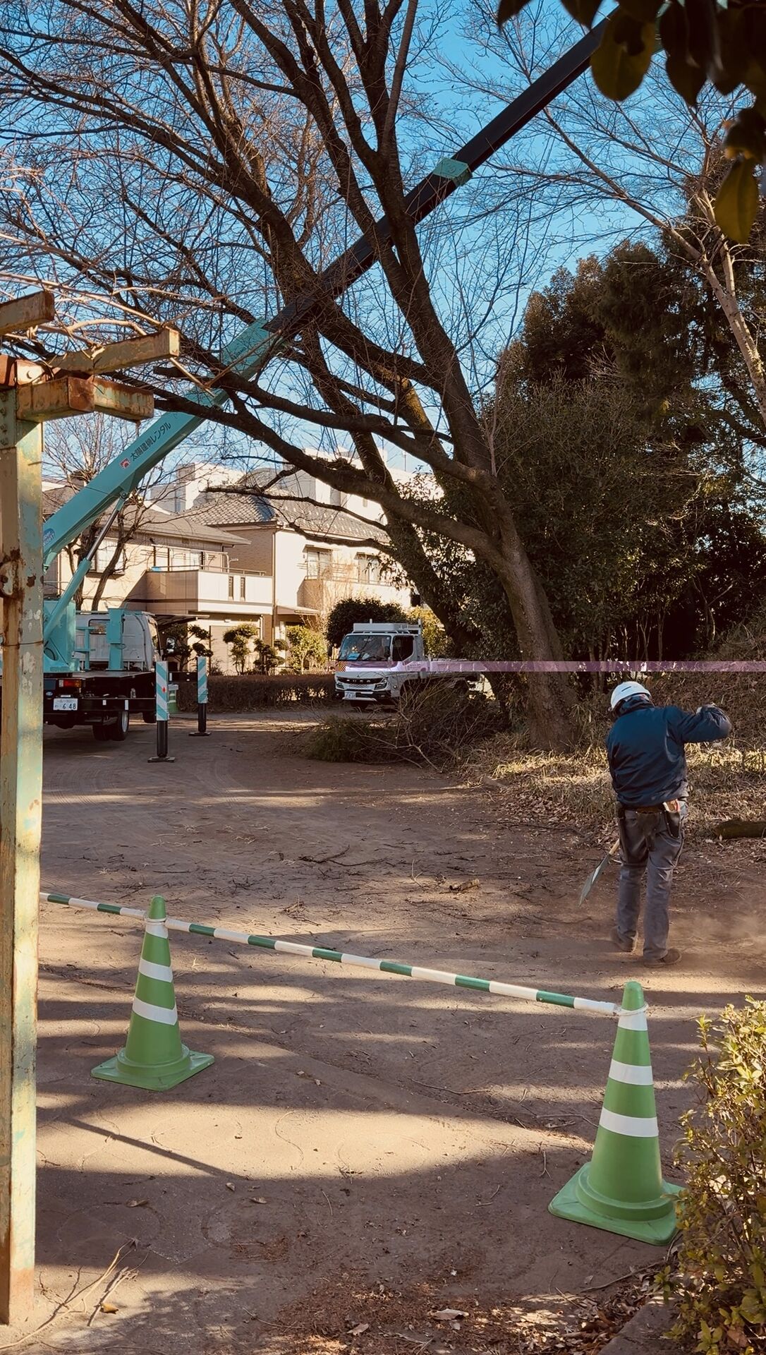 伐採作業　【あきる野市の造園会社　株式会社 川内谷】