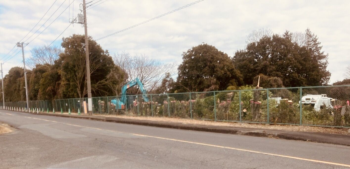 伐採・伐根作業　【あきる野市の造園会社　株式会社 川内谷】