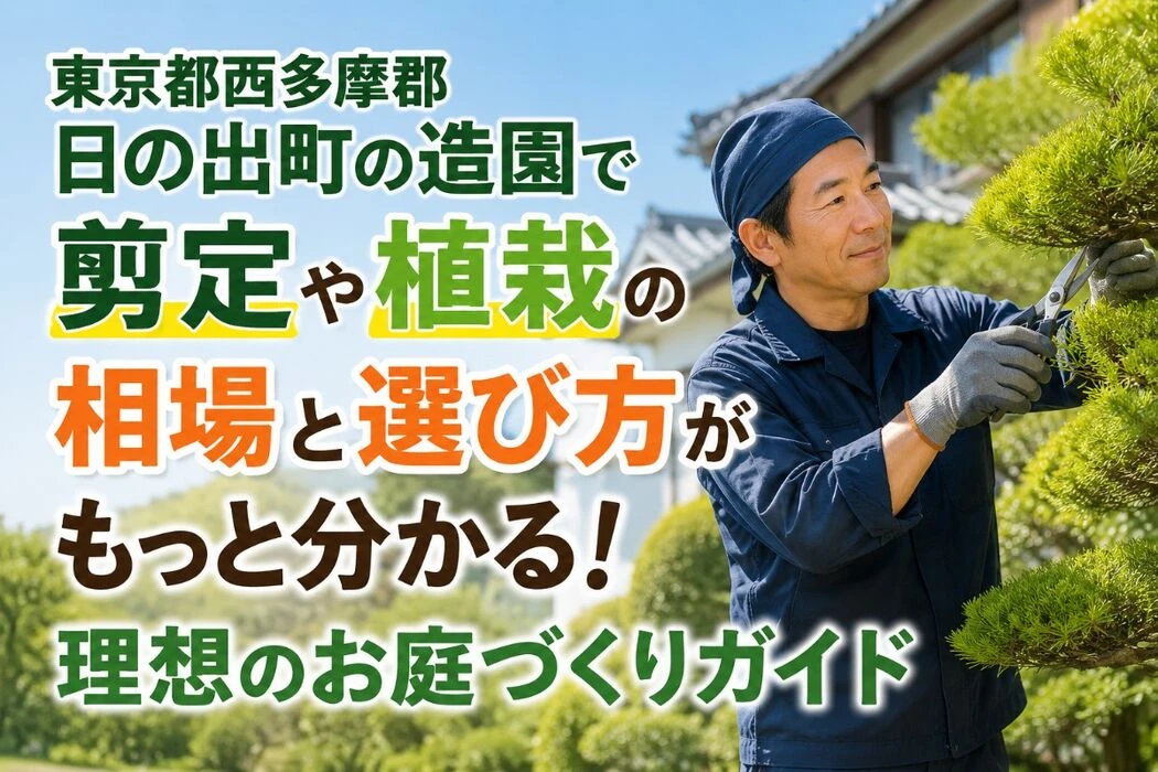 画像4354