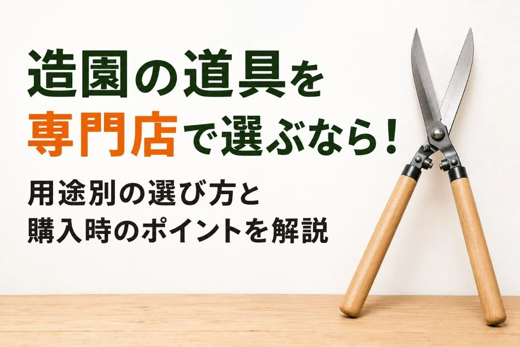 画像4401