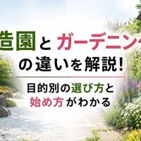 画像4413