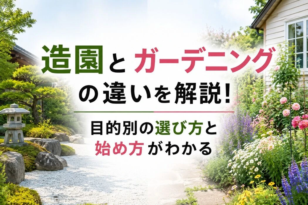 画像4413