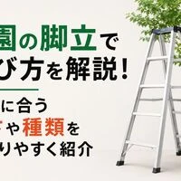 画像4427