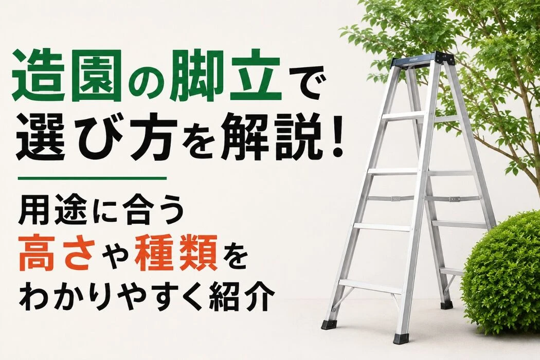 画像4427