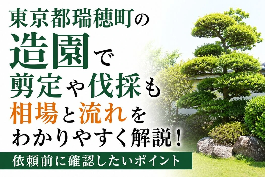 画像4463